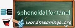 WordMeaning blackboard for sphenoidal fontanel